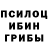 Псилоцибиновые грибы мухоморы Greed S.