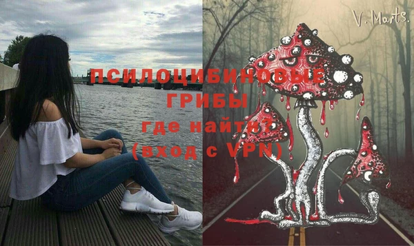 прущие грибы Арсеньев