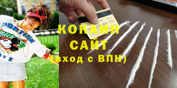 прущие грибы Арсеньев