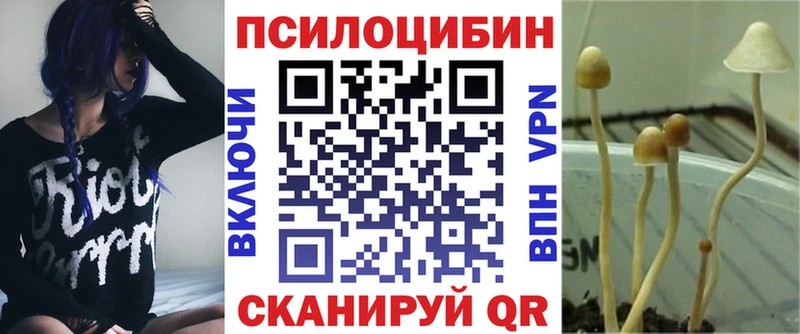 Псилоцибиновые грибы мицелий  Ревда 